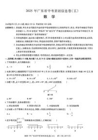 2025年广东省东莞市石碣新民学校中考数学原创信息卷(五)(中考模拟)
