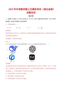 2025年中考数学第三次模拟考试数学(湖北卷)含解析