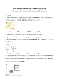安徽省芜湖市2025届九年级下学期中考第一次模拟考试数学试卷(含解析)