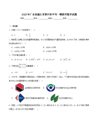 广东省湛江市雷州市2025届九年级下学期中考一模数学试卷(含解析)