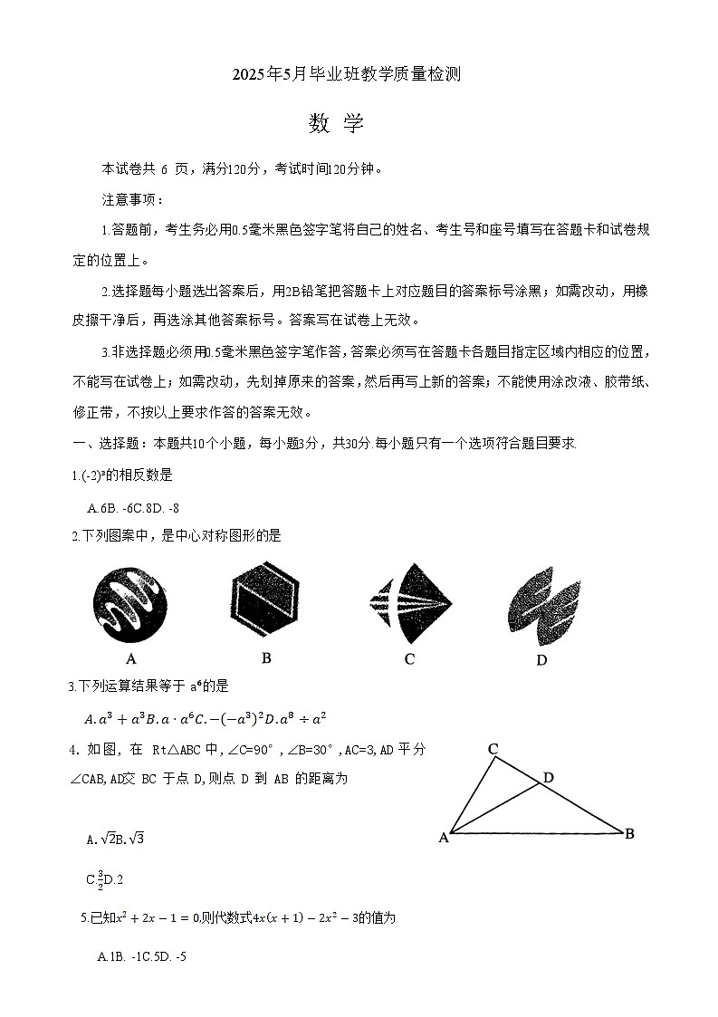 山东省菏泽市曹县2025届九年级下学期中考二模数学试卷(含答案)第1页