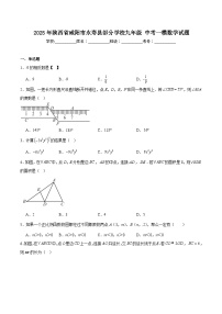 陕西省咸阳市永寿县部分学校2025届九年级下学期中考一模数学试卷(含解析)