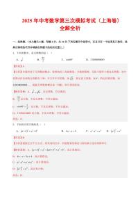 2025年中考数学第三次模拟考试数学(上海卷)(含答案)