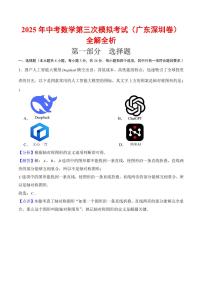 2025年中考数学第三次模拟考试数学(深圳卷)（含答案）