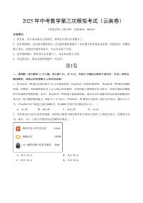 2025年中考数学第三次模拟考试数学(云南卷)含答案解析