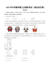 2025年中考数学第三次模拟考试数学(湖北武汉卷)含答案解析