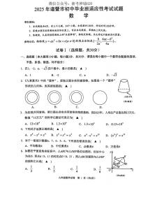 2025浙江省诸暨市九年级中考二模卷 有答案  数学