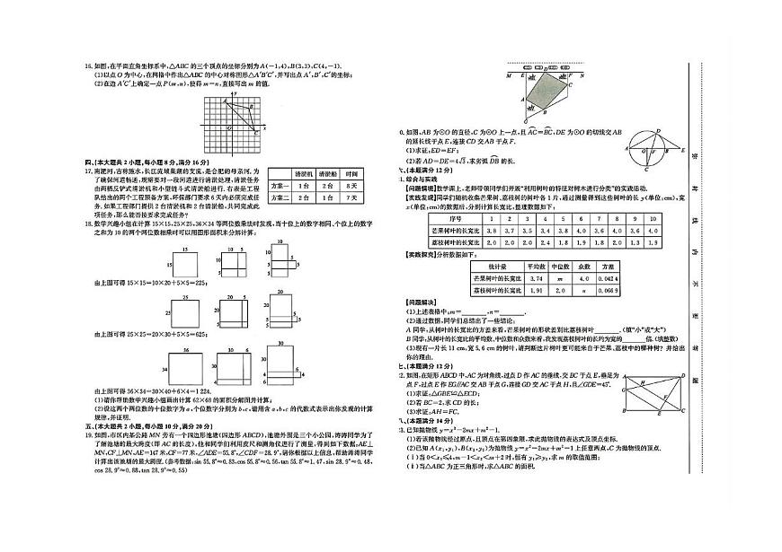 2025年安徽省蚌埠市部分學(xué)校中考三模數(shù)學(xué)試卷（中考模擬）第2頁