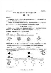 2025年山东省枣庄市滕州市初中学业水平考试模拟试题(三)数学（中考模拟）