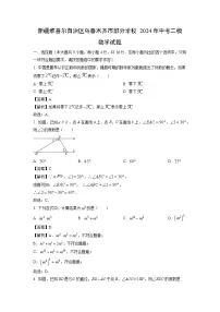 新疆维吾尔自治区乌鲁木齐市部分学校2024年中考二模数学试题（解析版）