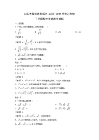 山东省临沂市郯城县2024--2025学年八年级下学期期中考试数学试卷 （解析版）