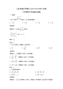 山东省临沂市费县2024-2025学年八年级下学期期中考试数学试卷（解析版）