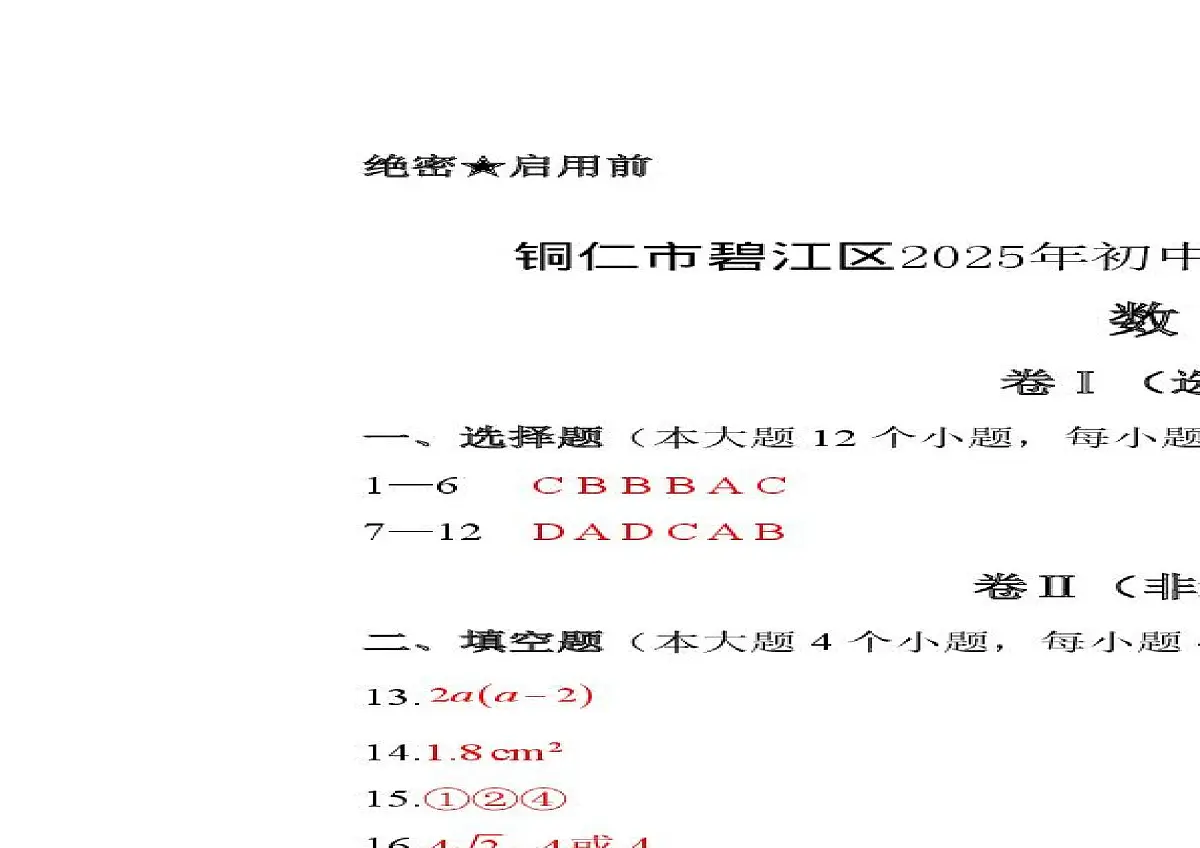 2025年 贵州省铜仁市碧江区九年级初中学业水平模拟考试 数学试卷(中考模拟)第3页