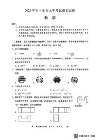 2025年湖南省衡阳市二模数学试题（中考模拟）