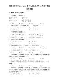 河南省郑州市2024-2025学年七年级上学期11月期中考试 数学试题(含解析)