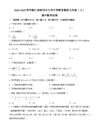 浙江省杭州市大关中学教育集团2024-2025学年上学期七年级期中 数学试卷（含解析）