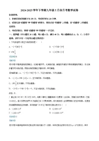 安徽省合肥市第二十九中学2024-2025学年下学期九年级5月月考 数学试卷（含解析）