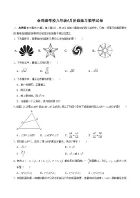 江苏省苏州市工业园区金鸡湖学校2024-2025学年5月阶段练习八年级 数学试卷(含解析)