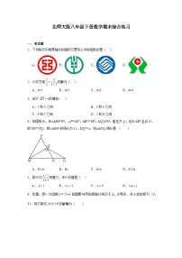 北师大版数学八年级下册 期末综合练习（含答案）