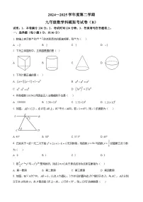 2025年广东省汕头市潮南区陈店公校中考二模数学试题（中考模拟）