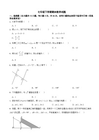 广西壮族自治区百色市2025年七年级下学期期末数学试题及答案