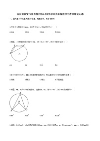 山东省泰安市重点校2024-2025学年九年级数学中考二轮复习卷（含解析）