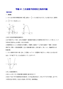 中考数学难点突破与经典模型精讲练(全国通用)专题43二次函数中的相似三角形问题(学生版+解析)
