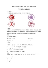 湖南省邵阳市大祥区2023-2024学年七年级下学期期末数学试卷（解析版）