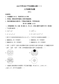 2025年山东省潍坊安丘市中考一模数学试题（中考模拟）