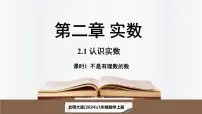 初中数学北师大版（2024）八年级上册（2024）1 认识实数课堂教学ppt课件