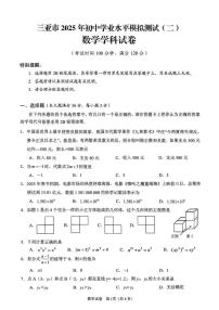 2025年海南省三亚市中考二模数学试题（中考模拟）