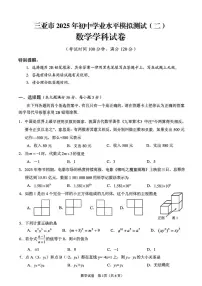 2025年海南省三亚市中考二模数学试题（中考模拟）