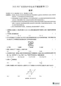 2025年广东省东莞市中考三模数学试题（中考模拟）