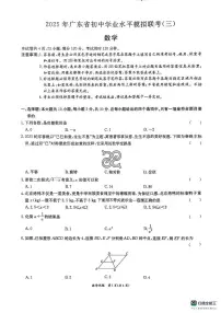 2025年广东省东莞市中考三模数学试题(中考模拟)