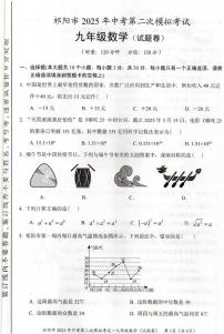 2025年湖南省永州市祁阳市中考二模数学试题（中考模拟）