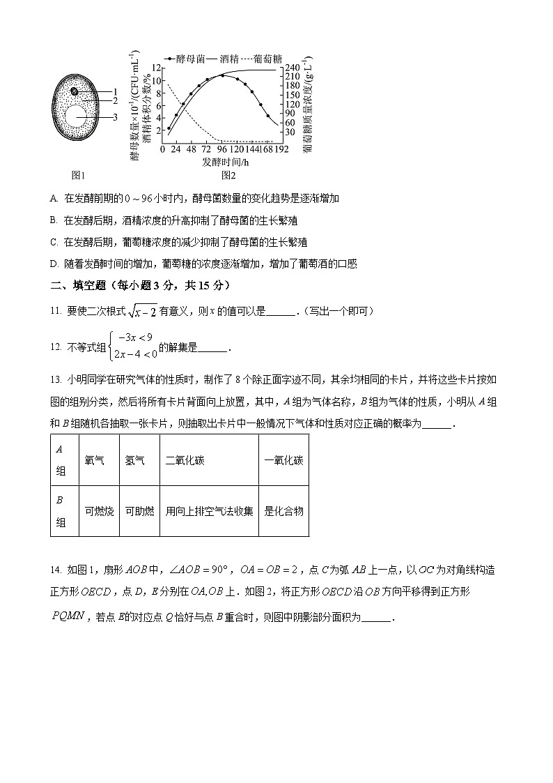 2025年河南省南阳市西峡县九年级二模数学试题(中考模拟)第3页