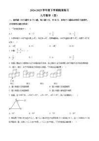 2025年辽宁省铁岭市调兵山市中考三模数学试题(中考模拟)