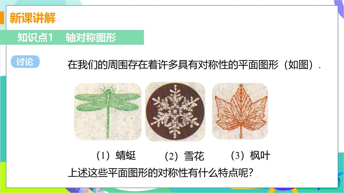 课时1 轴对称图形第5页