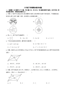 四川省成都市龙泉驿区2025年八年级下学期期末数学试题及答案