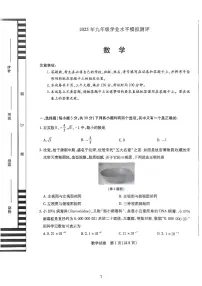 2025年河南省新乡市九年级中考一模数学试卷及答案