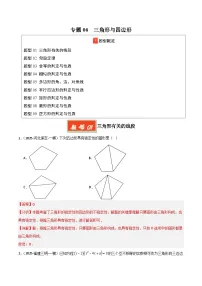 2025年中考数学专项复习讲义专题06 三角形与四边形(解析版)