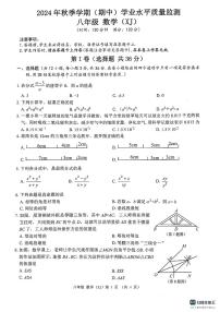 广西壮族自治区来宾市武宣县2024-2025学年八年级上学期期中考试数学试题
