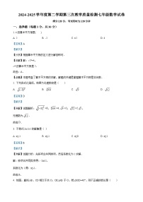 广东省东莞市虎门成才实验学校2024-2025学年下学期5月（第三次）月考七年级 数学试题（含解析）