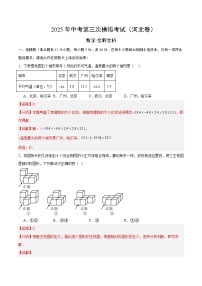 2025年中考第三次模拟考试：数学（河北卷）（解析版）