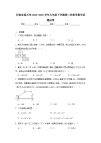 河南省商丘市2024-2025学年九年级下学期第三次联考数学试题试卷（附答案解析）