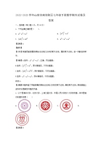 2022-2023学年山东济南济阳区七年级下册数学期末试卷及答案
