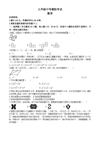 2025年辽宁省葫芦岛市绥中县中考二模数学试题（中考模拟）