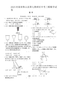 2025年河南省平顶山市鲁山县第七教研区中考三模数学试题