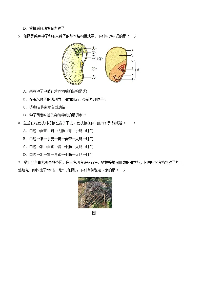2025年中考数学第三次模拟考试卷:生物(安徽卷)(考试版)第2页