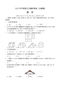 2025年中考数学第三次模拟考试卷:数学(安徽卷)(考试版)
